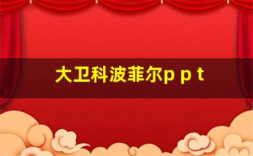 大卫科波菲尔p p t